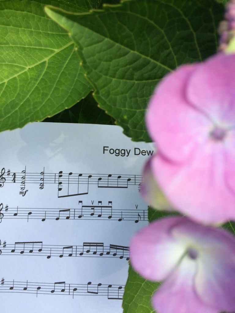 The Foggy Dew for mandolin solo